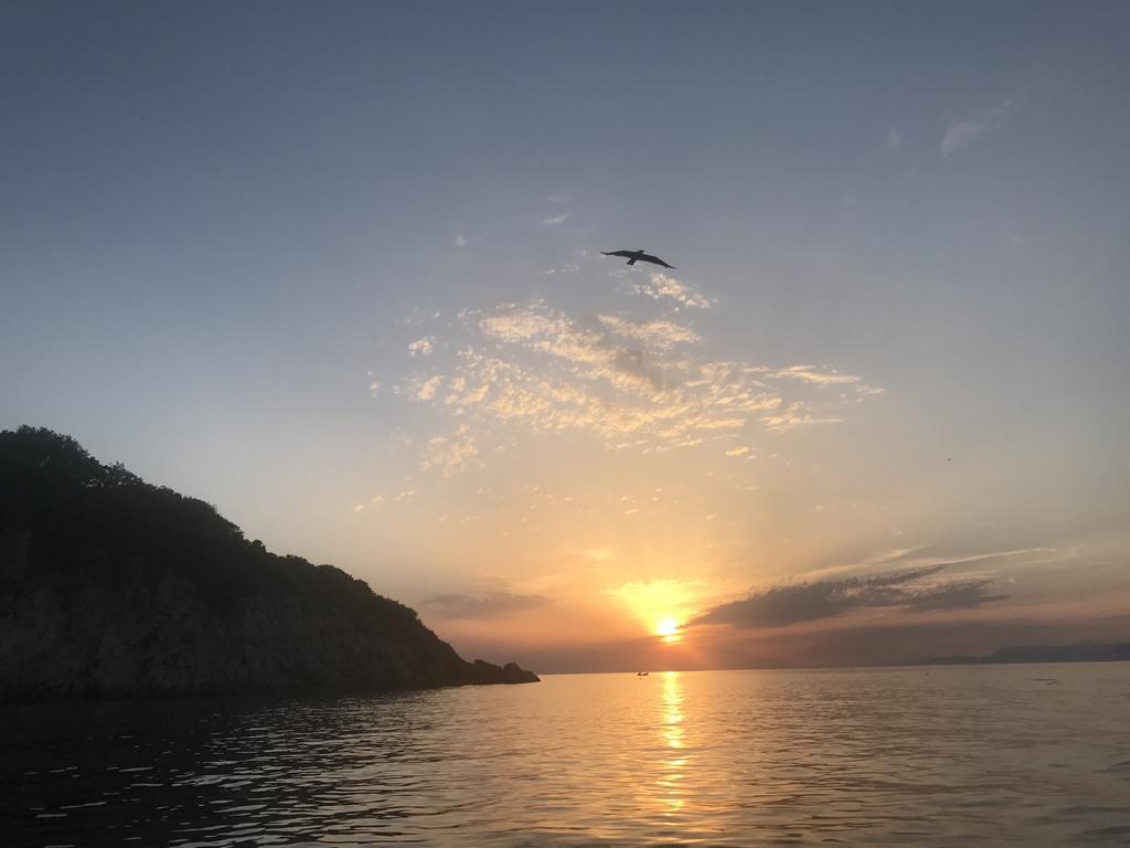 Odore Di Mare يوتجيها المظهر الخارجي الصورة